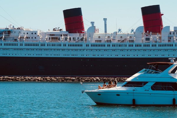 Comment organiser un camping pour observer les dauphins en Floride?